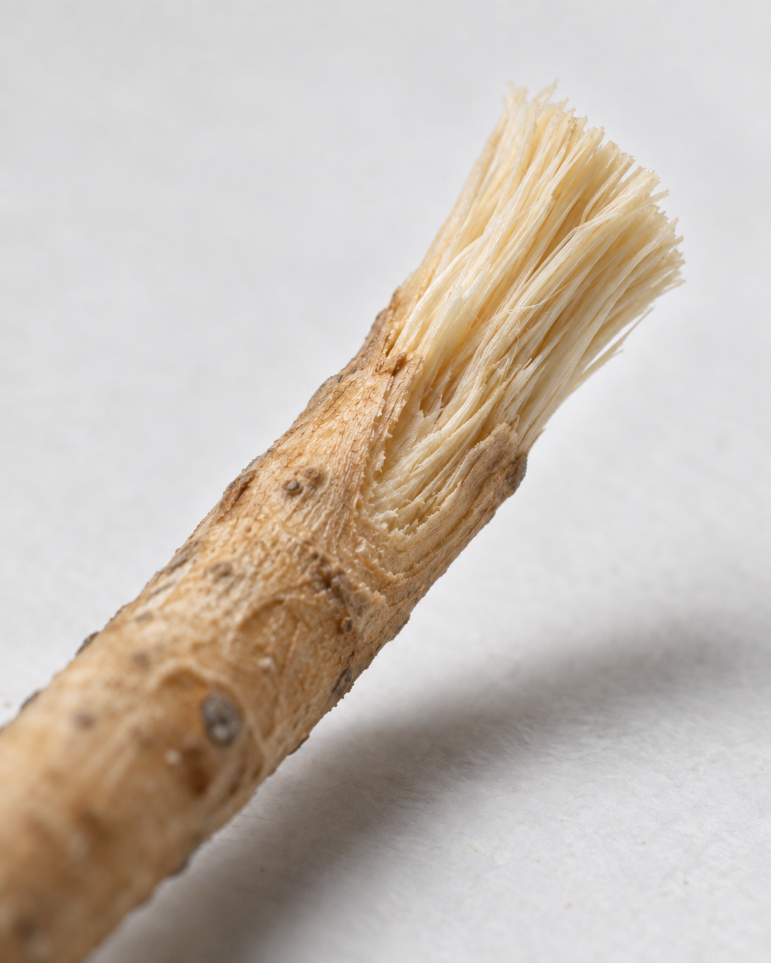 Siwak